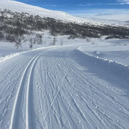 Pa Naer Geiranger,stryn,lom, Turstier *
